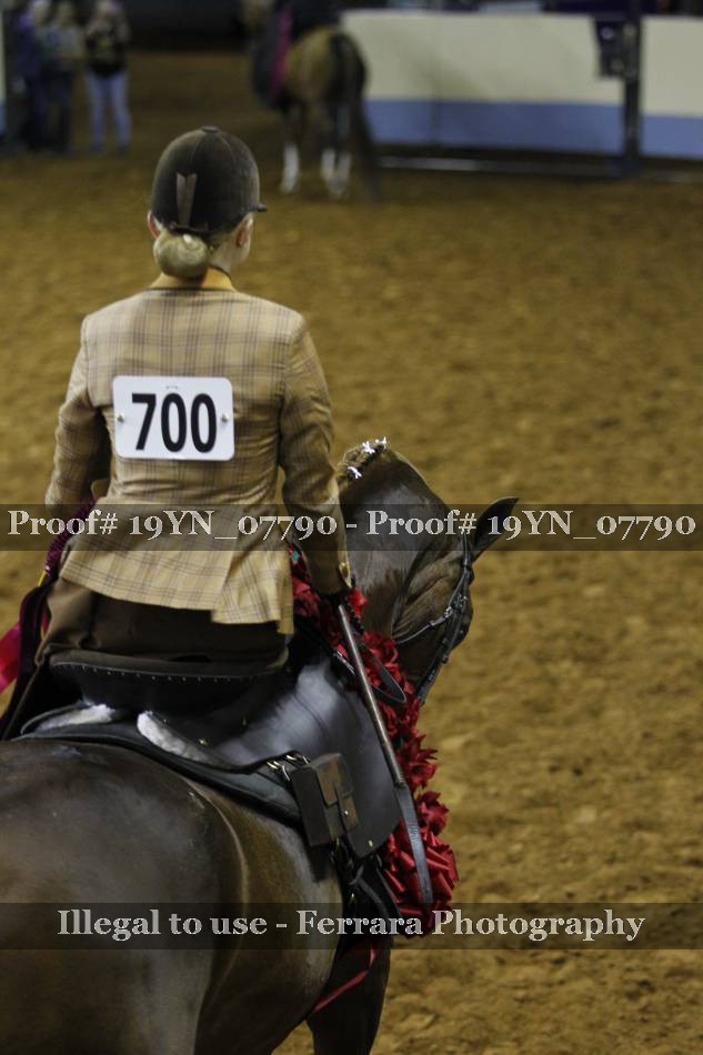 Proof 19YN_07790