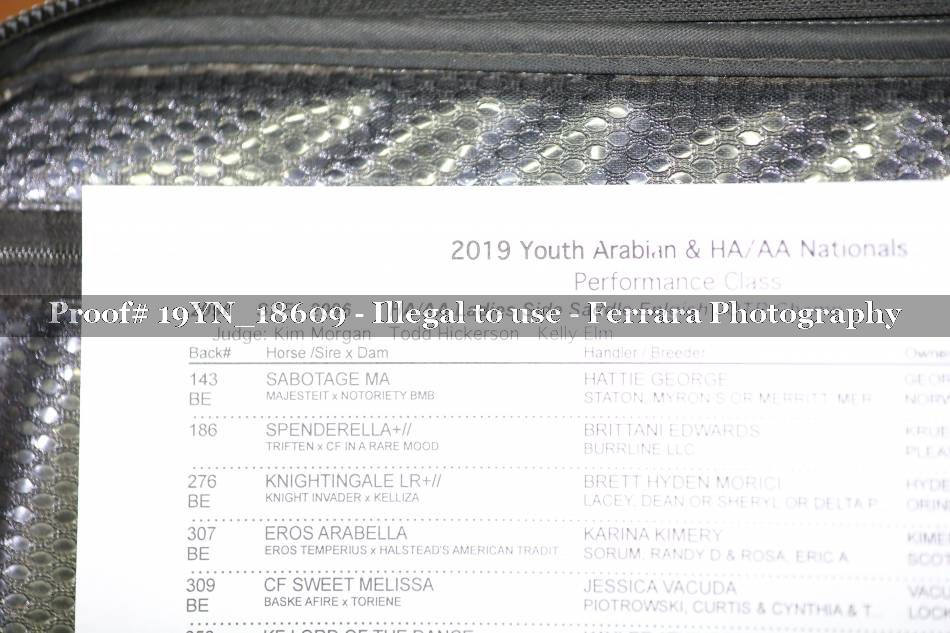 Proof 19YN_18609