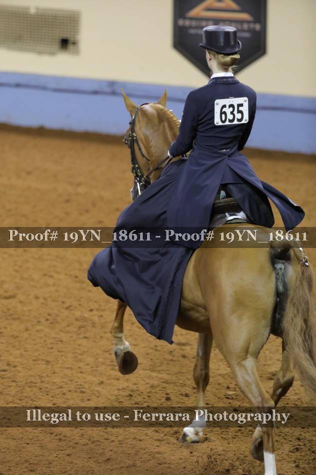 Proof 19YN_18611