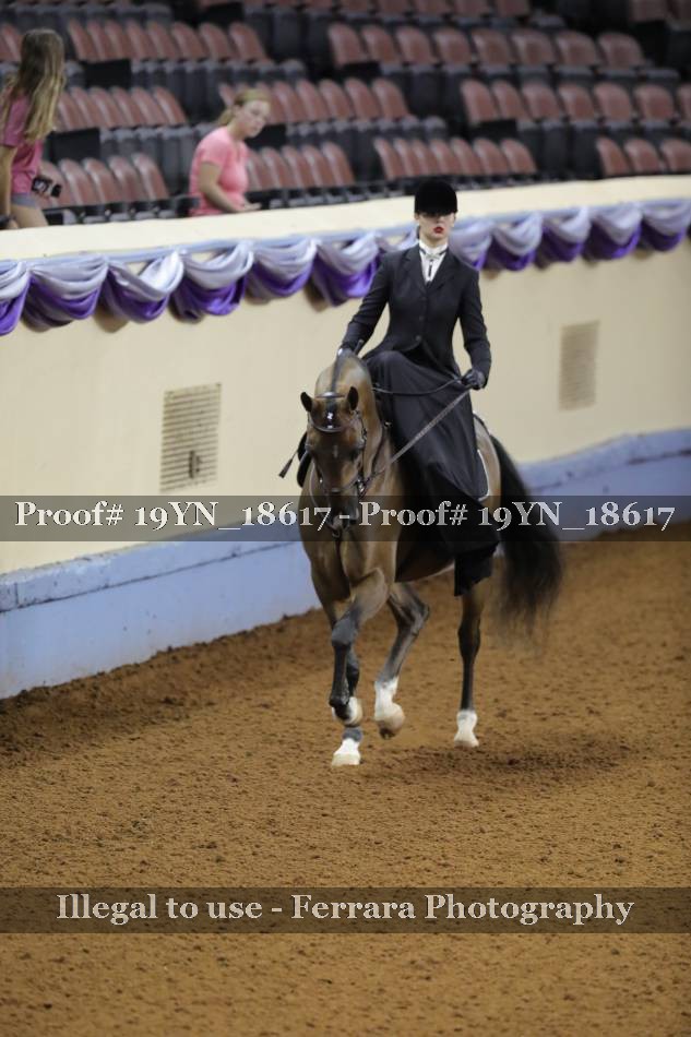 Proof 19YN_18617