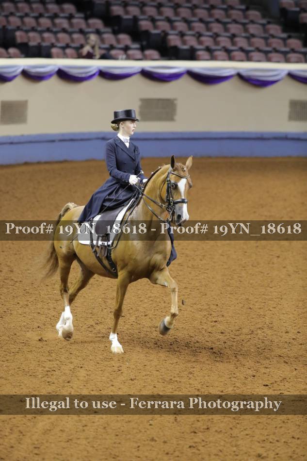 Proof 19YN_18618