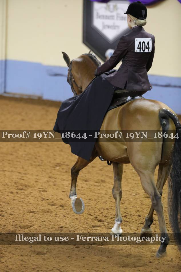 Proof 19YN_18644