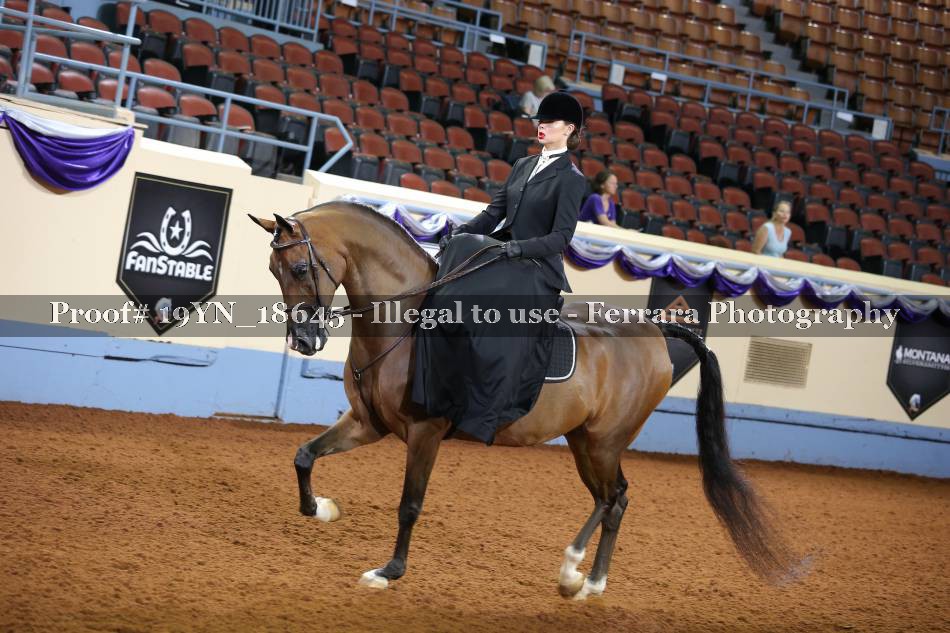 Proof 19YN_18645