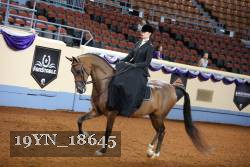 19YN_18645 proof