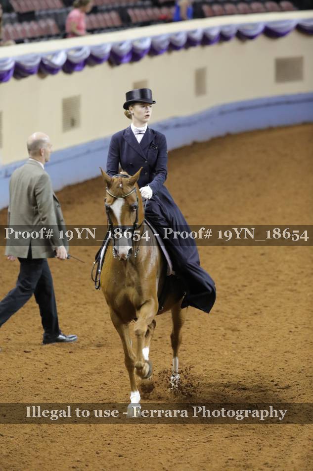 Proof 19YN_18654