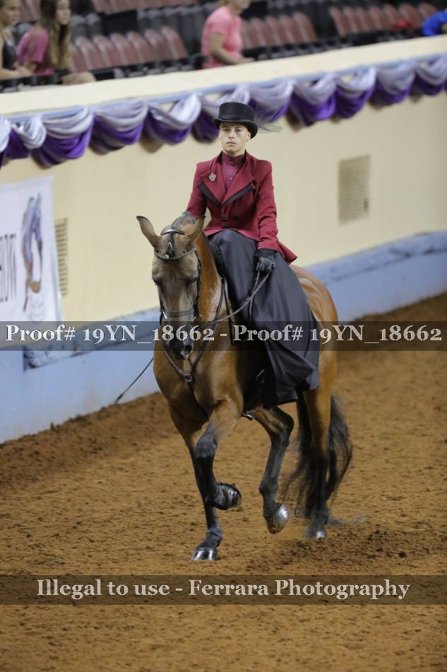 Proof 19YN_18662