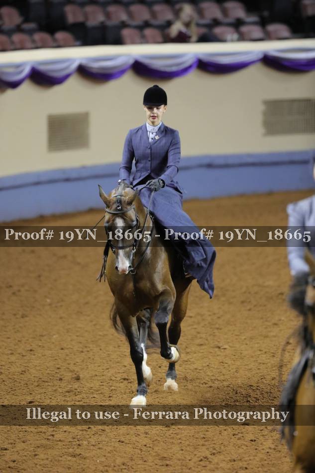 Proof 19YN_18665