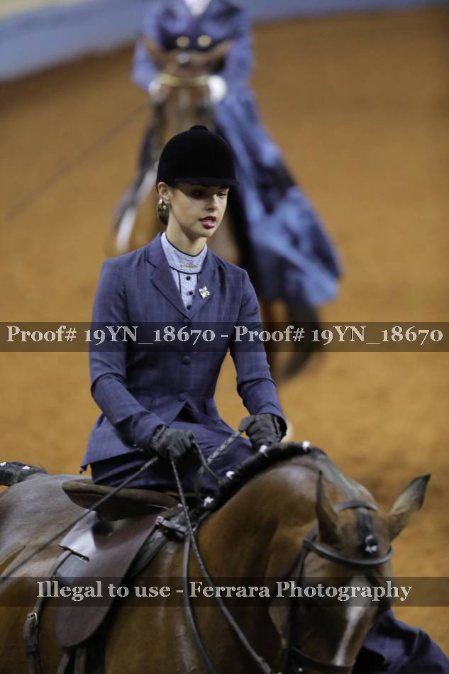 Proof 19YN_18670
