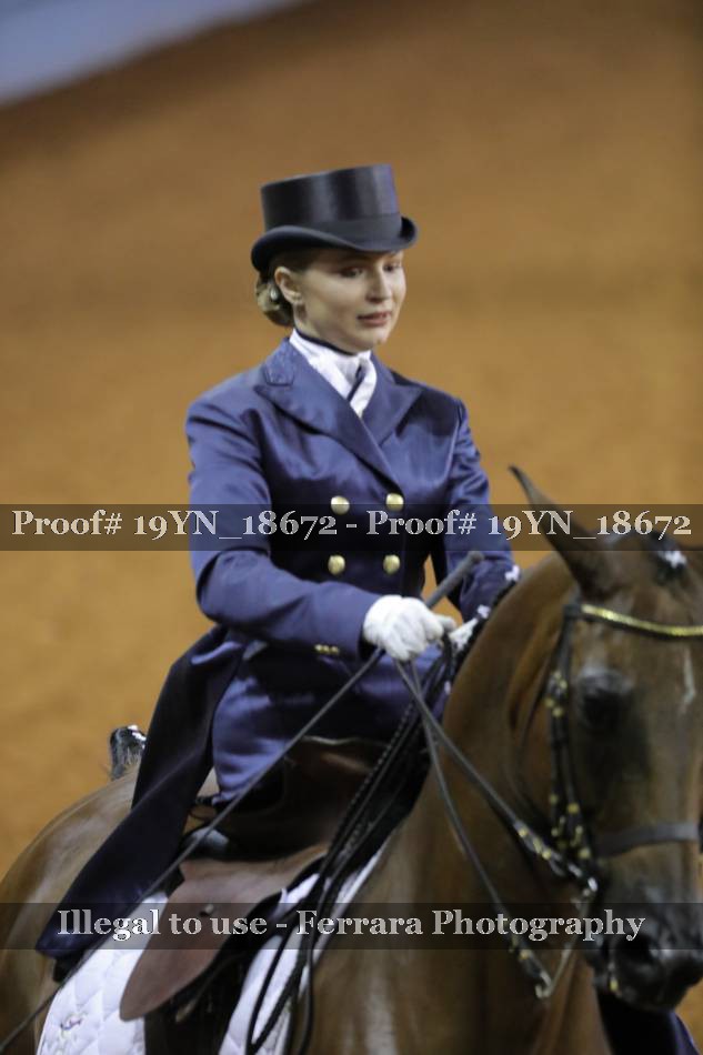 Proof 19YN_18672