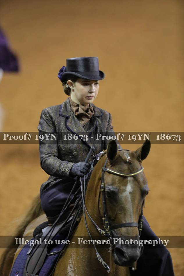Proof 19YN_18673