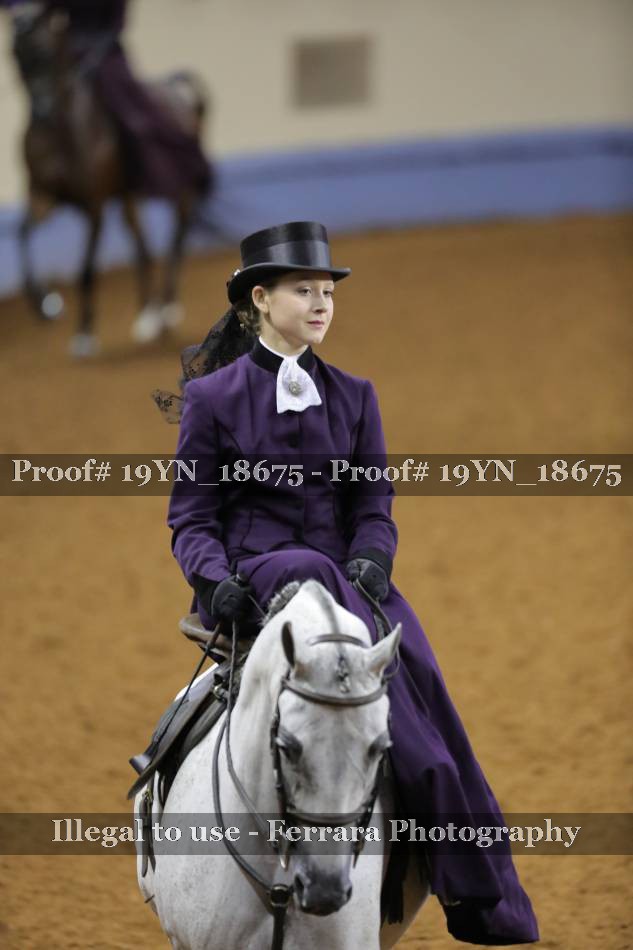 Proof 19YN_18675