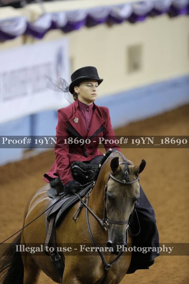 Proof 19YN_18690