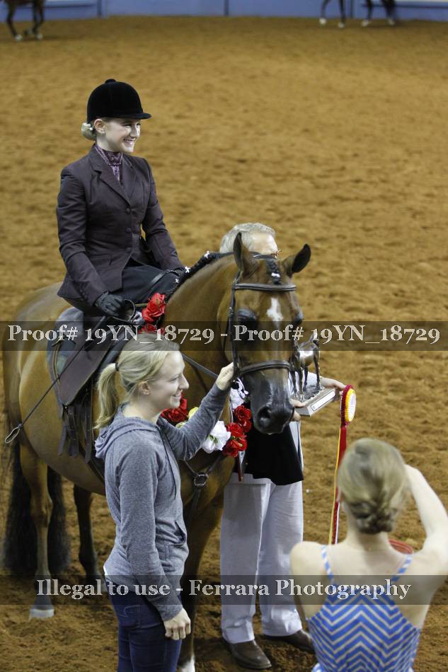 Proof 19YN_18729