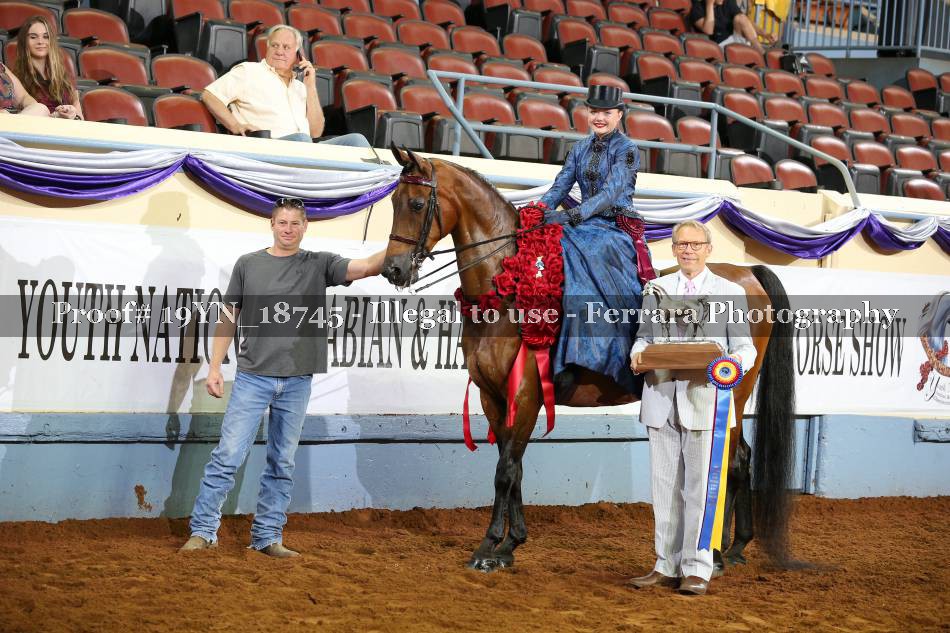 Proof 19YN_18745