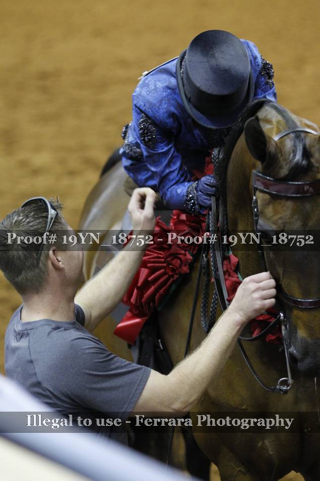Proof 19YN_18752