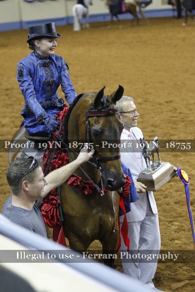 Proof 19YN_18755