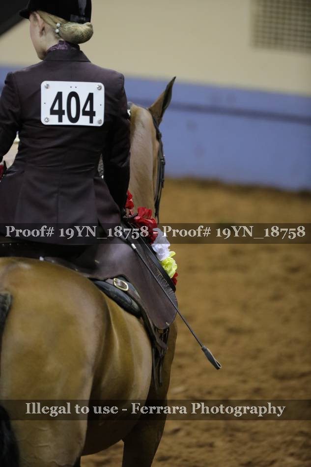 Proof 19YN_18758