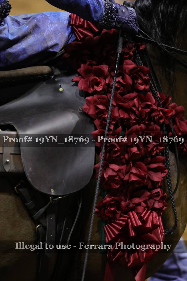 Proof 19YN_18769