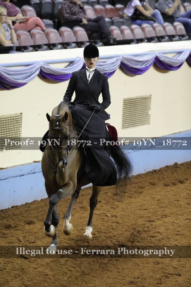 Proof 19YN_18772