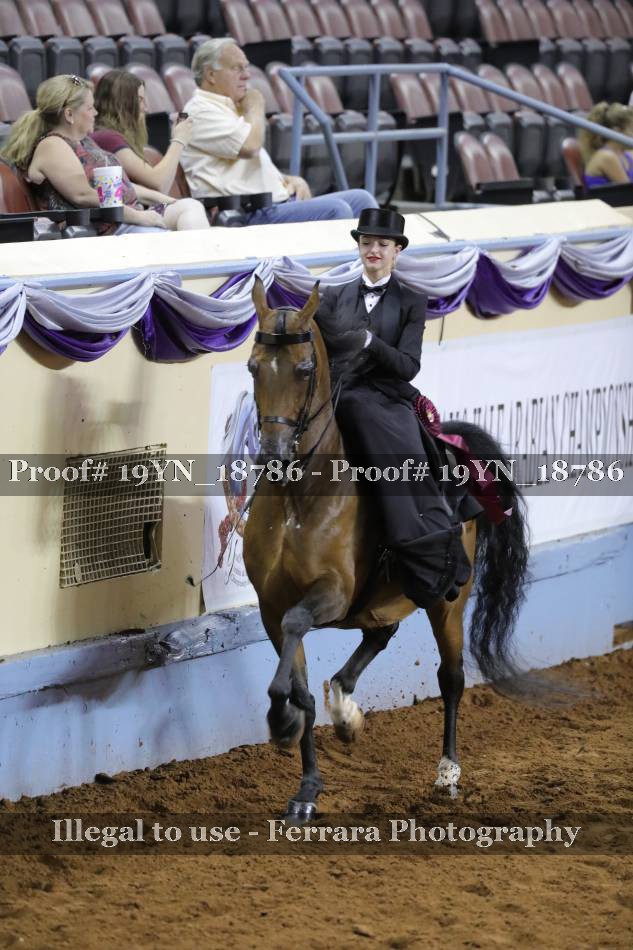 Proof 19YN_18786