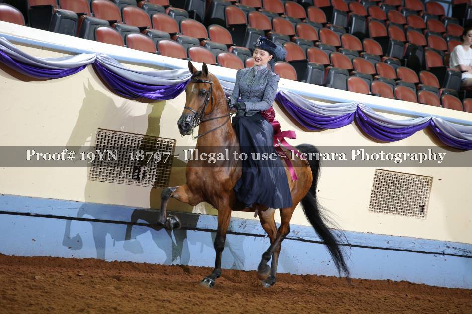 Proof 19YN_18797