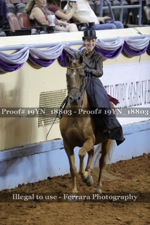 Proof 19YN_18803
