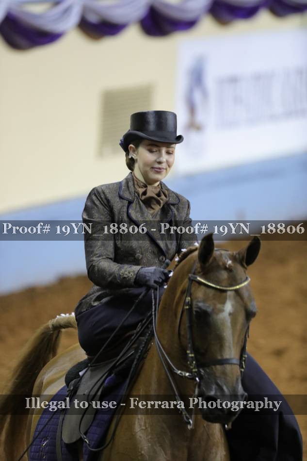 Proof 19YN_18806