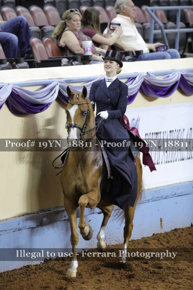 Proof 19YN_18811