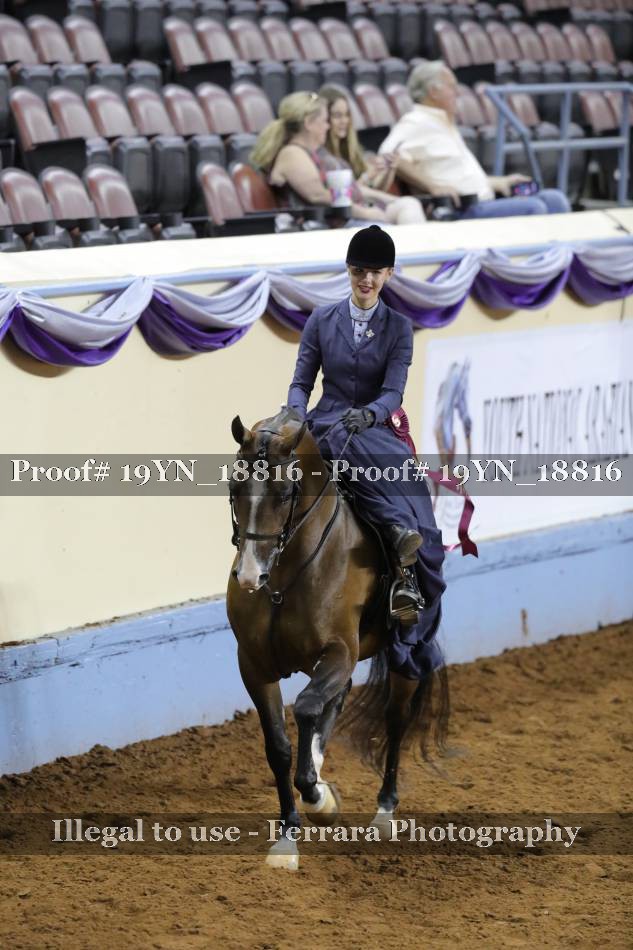 Proof 19YN_18816