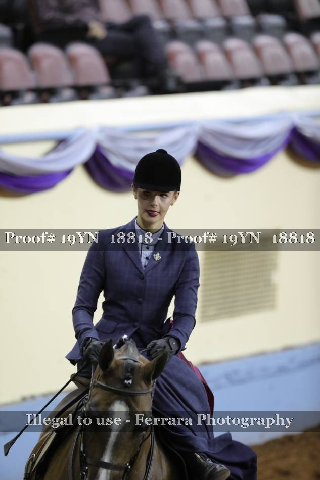 Proof 19YN_18818