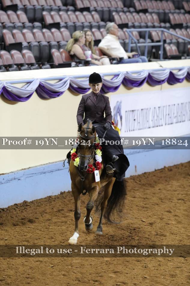 Proof 19YN_18824