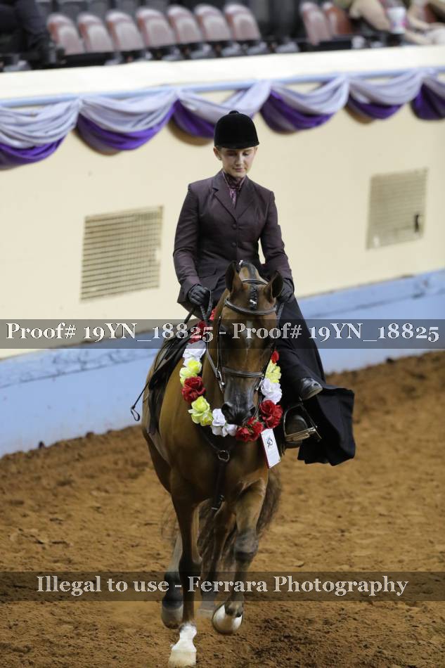 Proof 19YN_18825