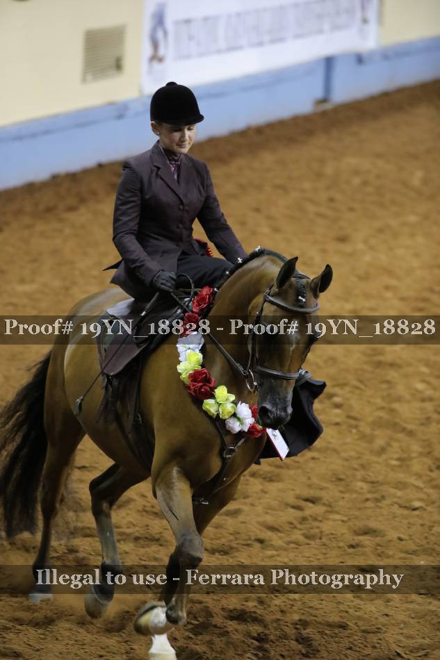 Proof 19YN_18828