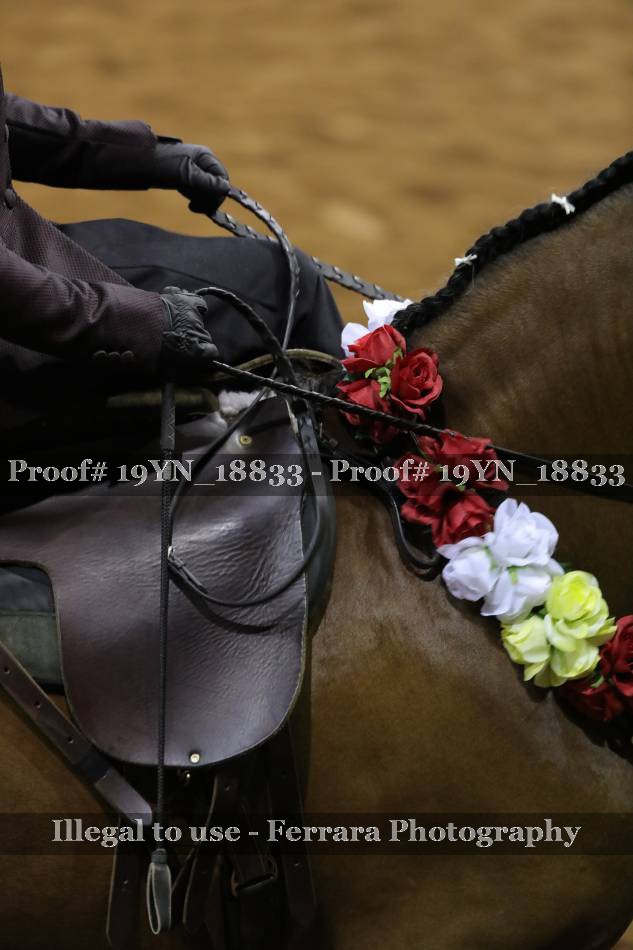 Proof 19YN_18833