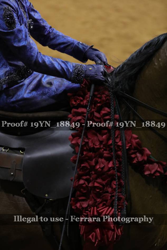 Proof 19YN_18849