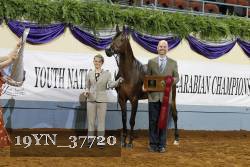 19YN_37720 proof