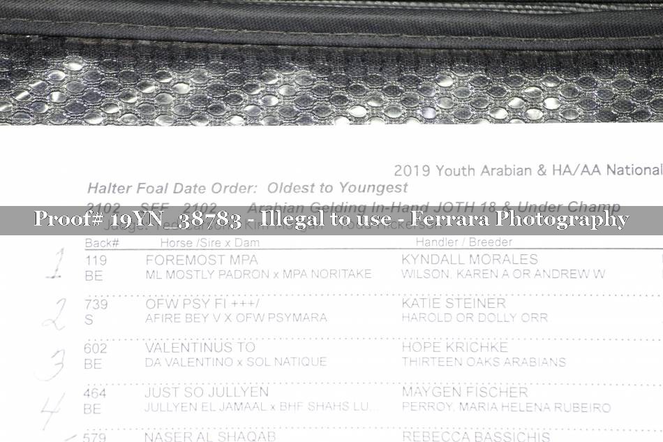 Proof 19YN_38783
