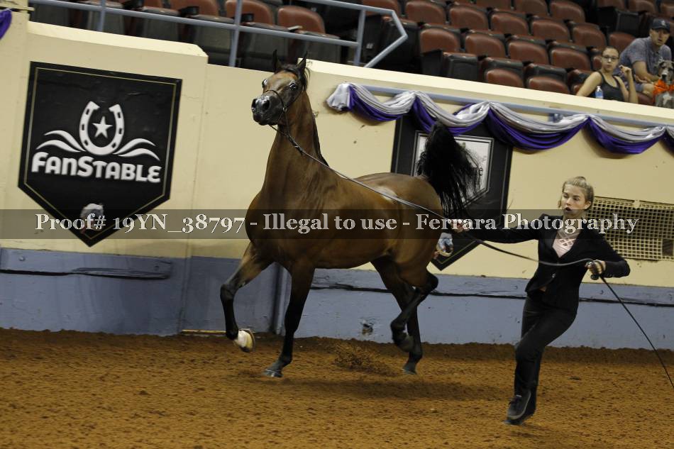 Proof 19YN_38797