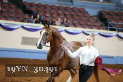 19YN_30491 proof
