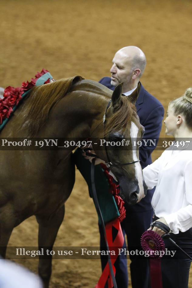 Proof 19YN_30497