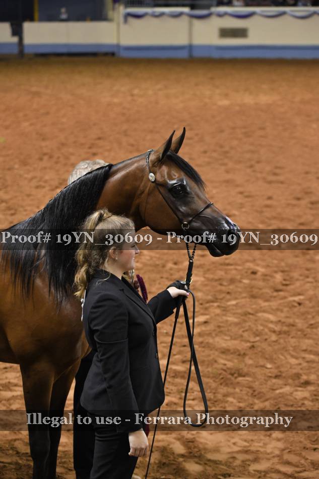 Proof 19YN_30609