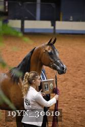 19YN_30610 proof