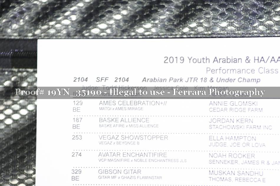 Proof 19YN_35190
