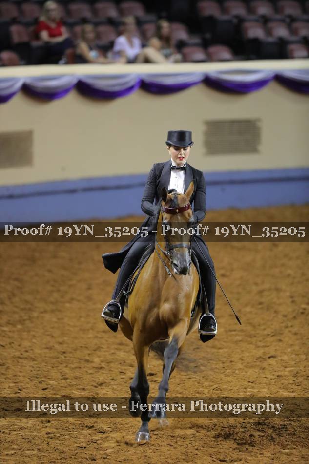 Proof 19YN_35205