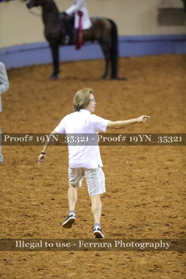Proof 19YN_35321