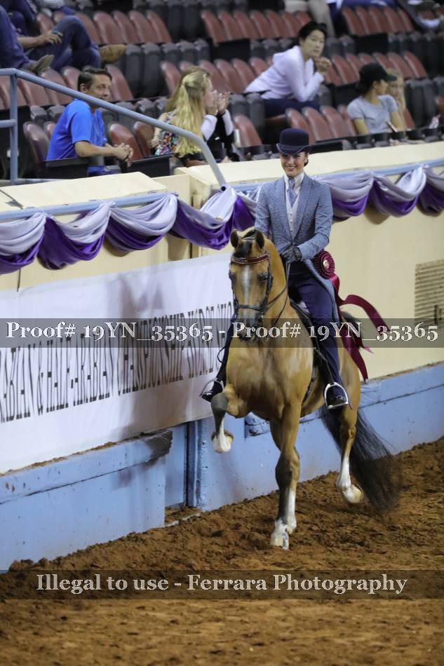 Proof 19YN_35365