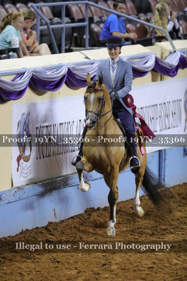 Proof 19YN_35366