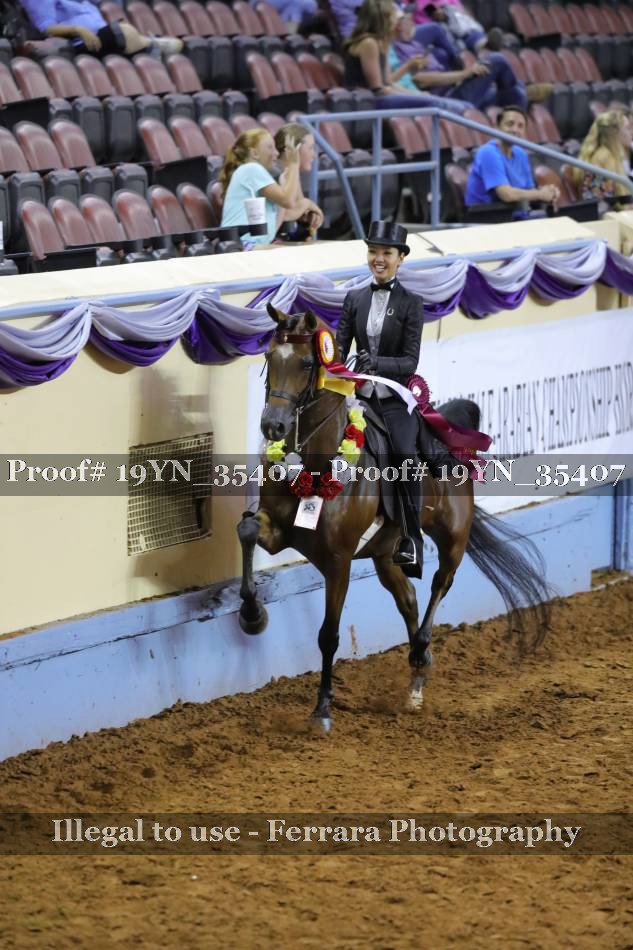 Proof 19YN_35407