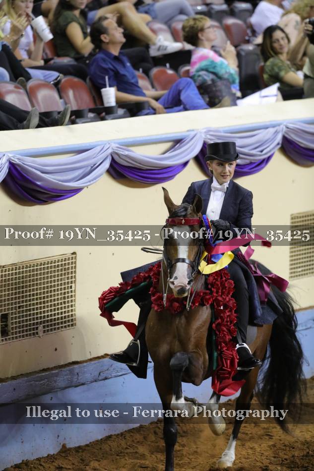 Proof 19YN_35425