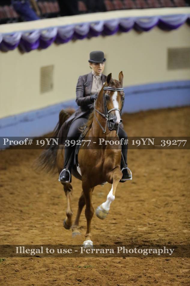 Proof 19YN_39277